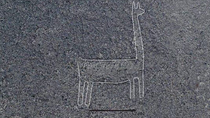 Llama - geoglifos Líneas de Nazca | Universidad Continental