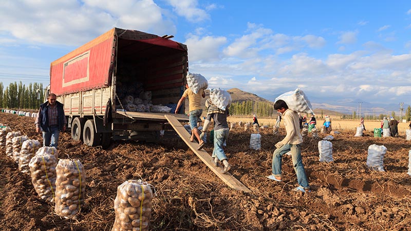 agro-peruano-restringir-las-importaciones-haria-mas-eficiente-la-agroindustria-nacional