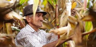 puede-un-pequeno-agricultor-peruano-exportar-sus-productos-y-recibir-ganancias