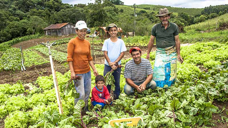 puede-un-pequeno-agricultor-peruano-exportar-sus-productos-y-recibir-ganancias