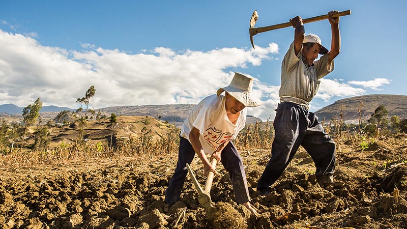 puede-un-pequeno-agricultor-peruano-exportar-sus-productos-y-recibir-ganancias