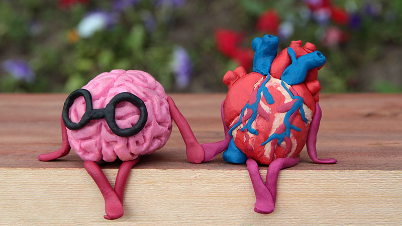 Plasticine,Human,Brain,And,Heart,Are,Sitting,On,A,Wooden
