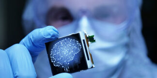 informatica-biomedica-aportes-al-control-de-la-pandemia-en-el-peru