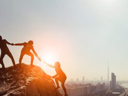 creatividad-y-organizacion-las-dos-alas-para-volar-hacia-el-exito